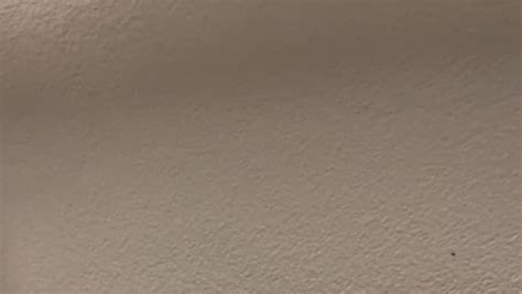 Amazon Pcs Mia Secret Nude Collection Acrylic Nail Art Powder Beauty Personal Care