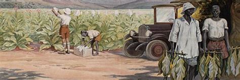 Zimbabwe History ~ History of Zimbabwe ~ Modern Zimbabwe History