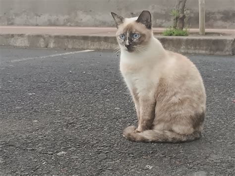 Lets Talk About Sex France Portugal European Youth Centre Břeclav