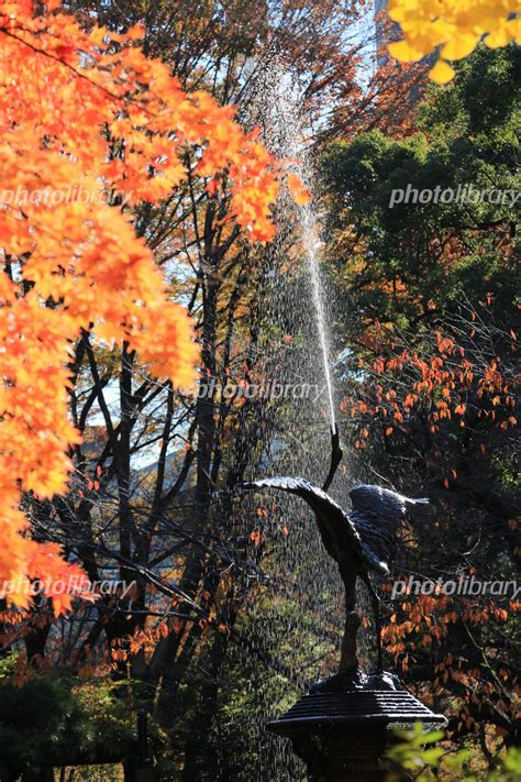 気温が低下し凍り付いた日比谷公園雲形池の鶴の噴水 写真素材 7252115 フォトライブラリー Photolibrary