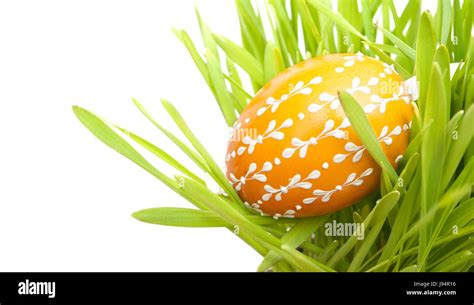 isolated easter spring bouncing bounces hop skipping frisks