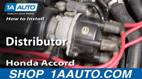 Can I Replace My Honda Distributor Reseal Your Honda Distrib