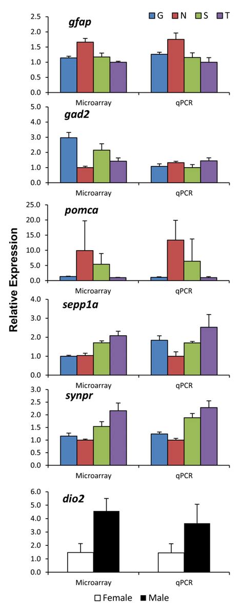 Qrt Pcr Was Used To Validate Microarray Results For Six Genes