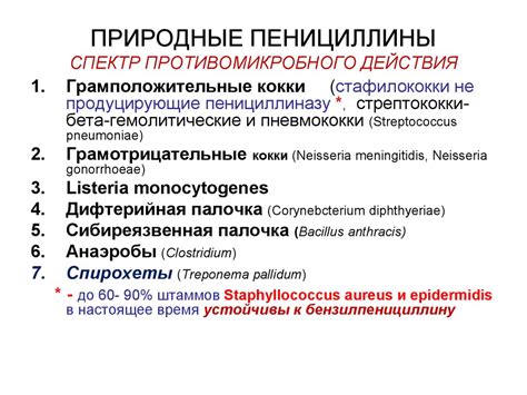 Антимикробные лекарстенные средства - online presentation