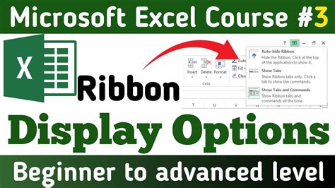 Hide Ribbon In Excel For Specific Workbook At Bryan Hanes Blog
