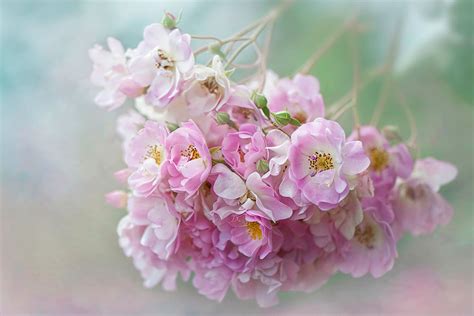 Благодать Земная и Небесная: Забыть себя - значит раствориться в другом