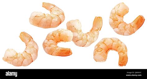 Falling Shrimps Isolated On White Background Stock Photo Alamy