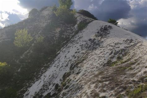 Шебекино: история, культура, известные люди, природа, фото и символы