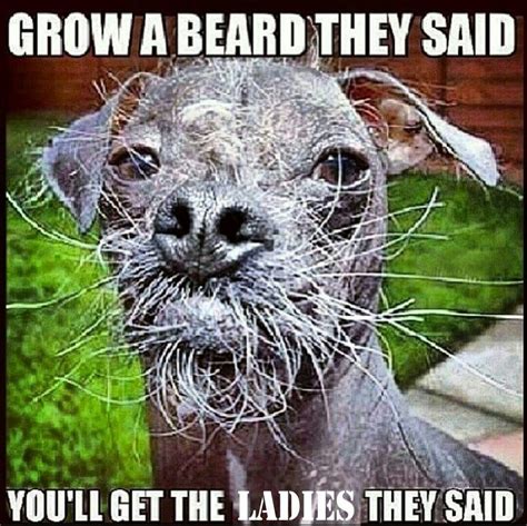 ugly animals memes