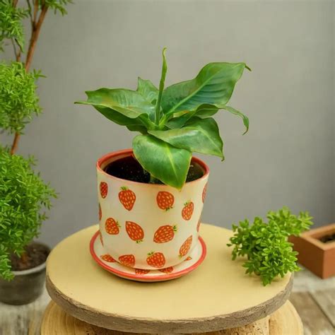 Горшок для цветов керамический с поддоном, кремового цвета с клубникой ...