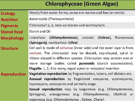 General Features of Chlorophyceae Green Algae Chlorophyceae Green