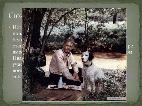 Г. Н. Троепольский. Повесть "Белый Бим Чёрное ухо" - презентация онлайн