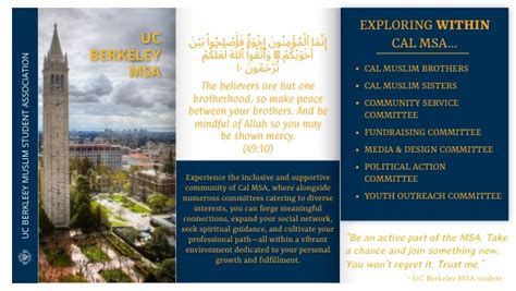 Copy Uc Berkeley Msa Brochure