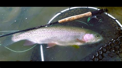 Windy Day Epic Dry Fly Fishing For Several Big Trout San Juan River NM