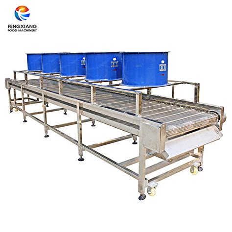 Dm 30 Vegetable Drying Machine Fengxiang China Manufacturer Food