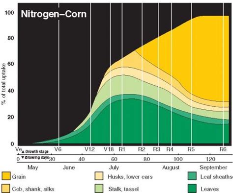 Splitting Fertilizer Application to Gain Yield - Peterson Farms Seed 