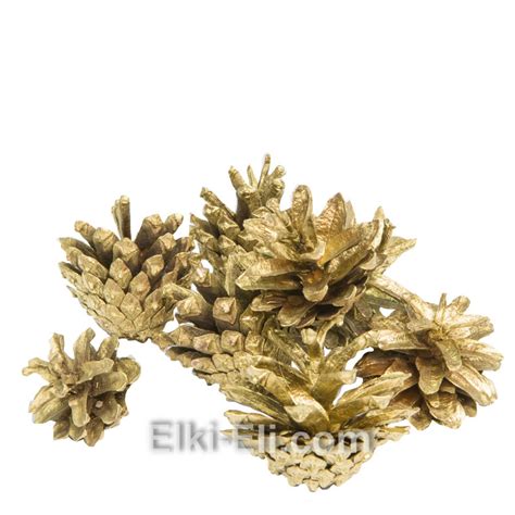 Цветная сосновая шишка (золотая) — Купить с доставкой в Москве ...