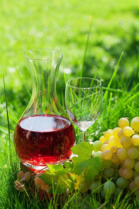 Вино Розе от България - топ цени - Онлайн магазин за алкохол Ноков и Син