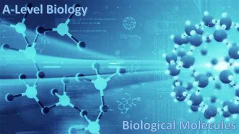 A Level Biological Molecules Teaching Resources