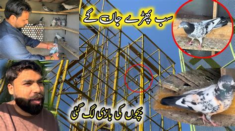 Sab Pharay Jaan Gay YouTube