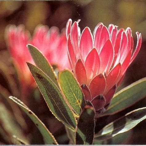 Vladmodels Vladmodels M My Xxx Hot Girl