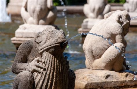 Fountain Frog Water Free Photo On Pixabay