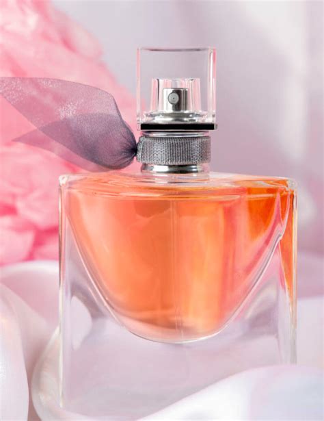 Best Britney Spears Perfumes 2021 - Top 15 Fragrances