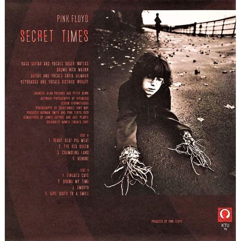 Пластинка Secret Times Pink Floyd. Купить Secret Times Pink Floyd по ...