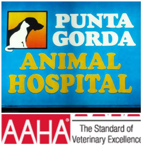 Punta Gorda Animal Hospital | Punta Gorda FL