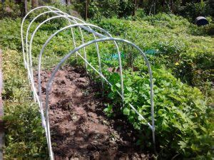 Постройка парника из полипропиленовых (ПВХ) труб своими руками