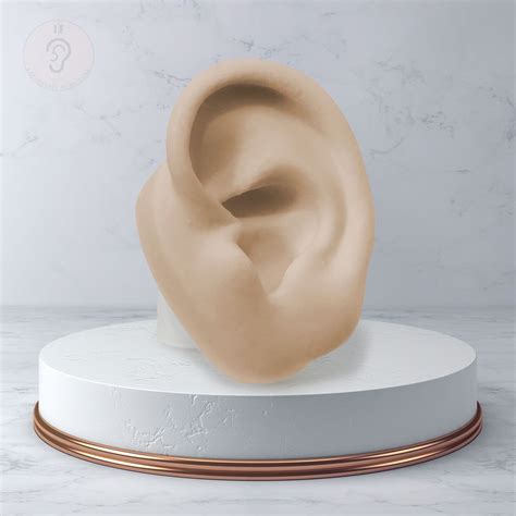 Kit Expositor Orelha Oval Nariz Umbigo Nude Expositores De Silicone