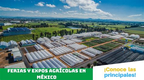 Cuáles son las PRINCIPALES FERIAS Y EXPOS AGRÍCOLAS en MÉXICO