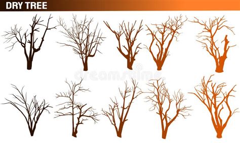 Collection Of Naked Trees Silhouettes Set Dry Trees Stock Vector Illustration Of Brown