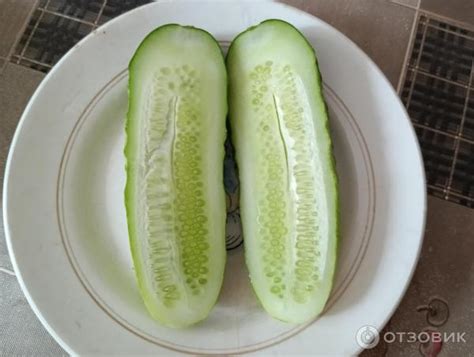 Отзыв о Семена Gardenstar Огурец Обильный | Не впечатлили они меня