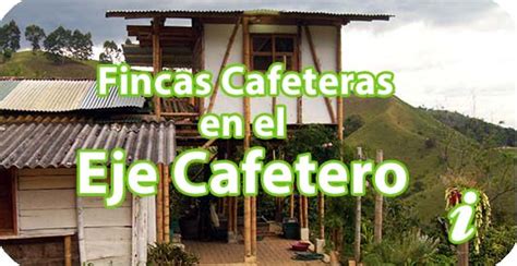 TOP 5 Fincas Cafeteras En El Eje Cafetero Viajar A Colombia