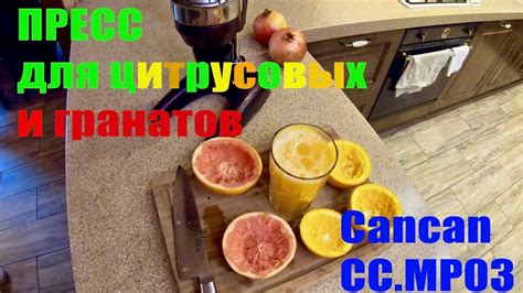 Пресс для цитрусовых и гранатов Cancan CC.MP03 Соковыжималка ...