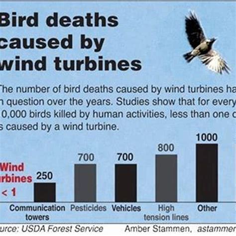 How Many Birds Are Killed By Wind Turbines Worldwide Diy Seattle