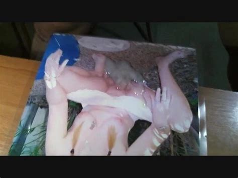 Cumming On Shelley Slut Gay Man Porn Xhamster