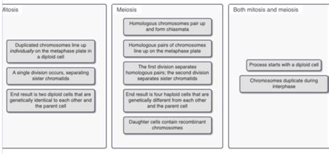 Biol Hw Flashcards Quizlet