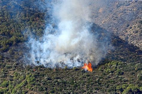 Waldbrände zerstörten tausende Hektar in Spanien und Portugal Spanien