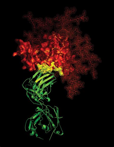 AIDS | Definition, Diagnosis, Treatment, & Facts | Britannica