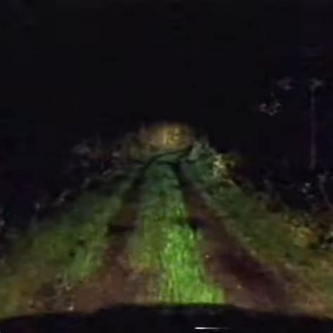 AKedOLQDEERLRDpBR4pco2ITzzlbU45w90BOHNmI06cO=s900-c-k-c0x00ffffff-no-rj