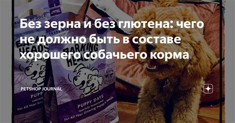 Без зерна и без глютена: чего не должно быть в составе хорошего ...