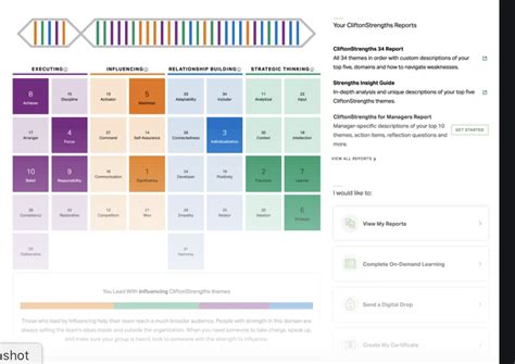 Clifton-Strengths | Developing Leaders