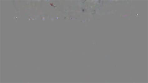 Blond Boy Pig Fucks Her Ass