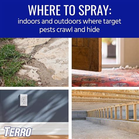 8 Best Spider Killer Spray For Indoors 2023 Hummingbirds Plus