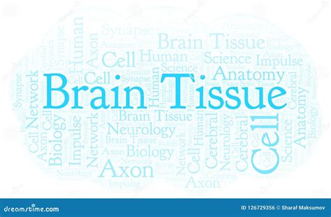 Brain Tissue Word Cloud Stock Illustration Illustration Of Poster