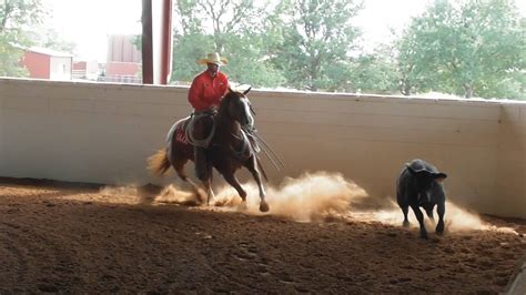 6666 Ranch Demonstrating Quarter Horses For Sale Return To The