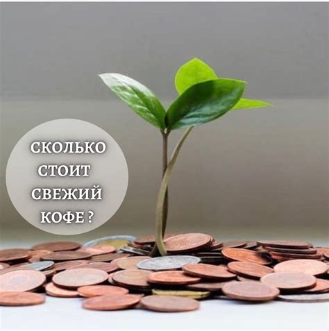 Сколько же стоит свежий кофе? - Кофе Тирасполь