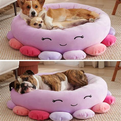 Treat Your Furry Friends With Top 5 Squishmallow Pet Beds!